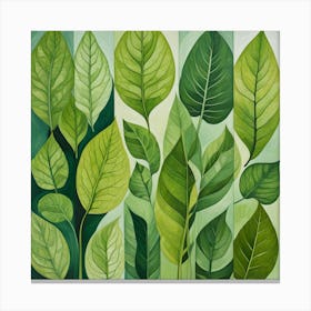 Green Leaves Canvas Print