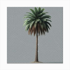 Palm Tree 1 Canvas Print