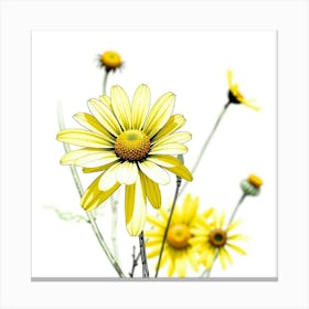 Yellow Daisies Canvas Print