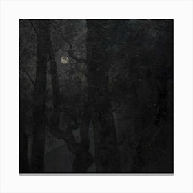 Moonlight In The Forest Canvas Print