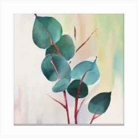 Eucalyptus Petals Canvas Print