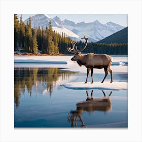 Nature Caribou Canvas Print