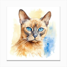 Tonkinese Mink Cat Portrait 2 Canvas Print