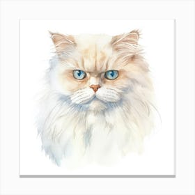 Colorpoint Shorthair Persian Cat Portrait Canvas Print