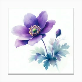 Purple Anemone Flower Canvas Print