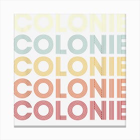 Colonie New York Colonie Ny Retro Vintage Text Canvas Print