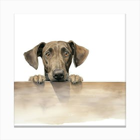 Weimaraner 1 Canvas Print