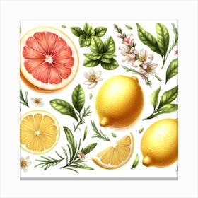 Lemon 3 Canvas Print