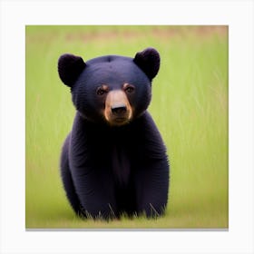Black Bear Cub 1 Canvas Print