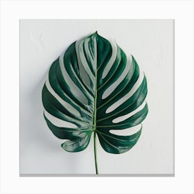 Monstera Leaf 3 Canvas Print