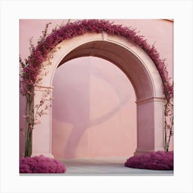 Pink Archway 14 Canvas Print