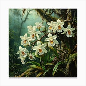 Orchids In The Rainforest Art Canvas Print