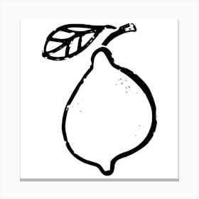 Lemon. Ink texture doodle. Black and white illustration, Bauhaus Canvas Print