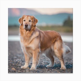 Golden Retriever Canvas Print