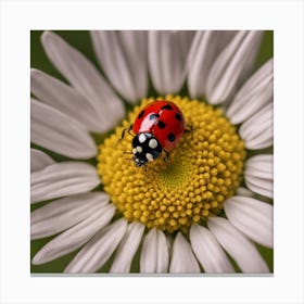 Ladybug On A Daisy 1 Canvas Print