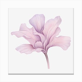 Watercolor Flower Isolated On Black Background Canvas Print