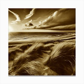 Sand Dunes 10 Canvas Print