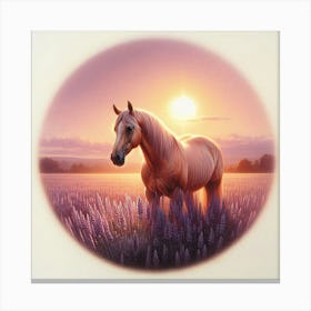 Sunset Horse 73 Canvas Print