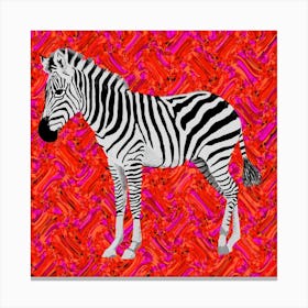 Oh Zebra Square Canvas Print