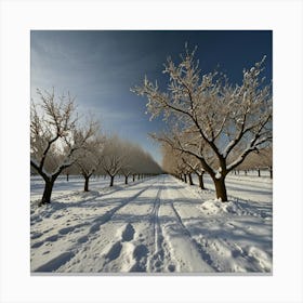 Orchard In The Snow Canvas Print