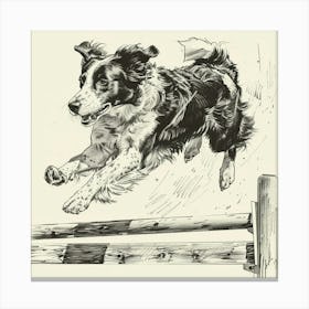 Border Collie Jumping Over A Fence Canvas Print