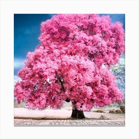 Pink Tree Canvas Print