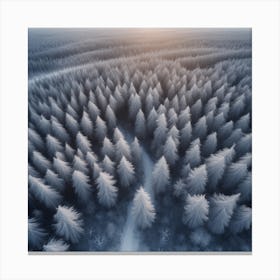 Aerial Photography Of A Winter Forest 2 Canvas Print