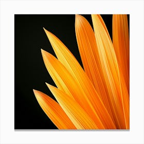 Close Up Of Orange Flower Canvas Print