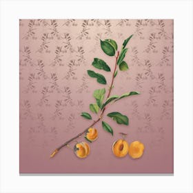 Vintage Apricot Botanical on Dusty Pink Pattern Canvas Print