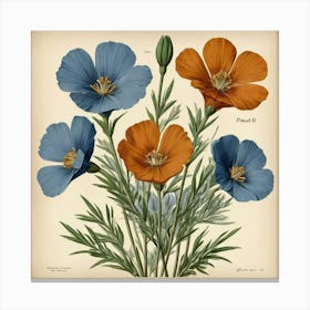 Poppies art print Canvas Print