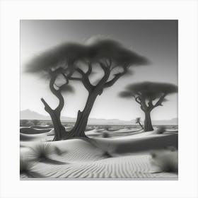Acacia Trees In The Desert Canvas Print