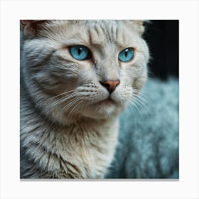 Soft Blue Cat Canvas Print