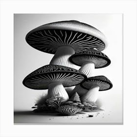 Mushrooms In Black And White Canvas Print