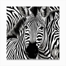 Zebras Canvas Print