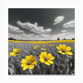 Yellow Flowers In A Field 22 Canvas Print