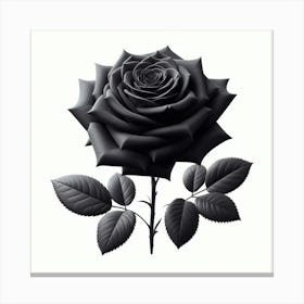 Black Rose 5 Canvas Print