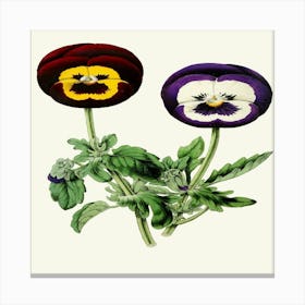 Pansies (1852 1861) Canvas Print