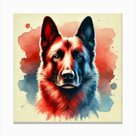 Watercolor Belgian Malinois 1 Canvas Print