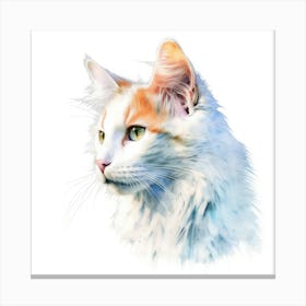 Turkish Van Cat Portrait Canvas Print