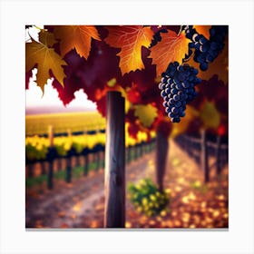 Vineyard In Autumn Canvas Print