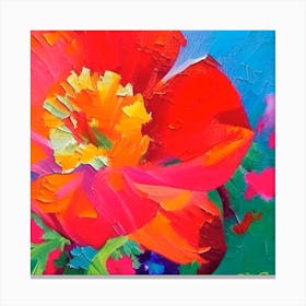 Red Poppy Canvas Print