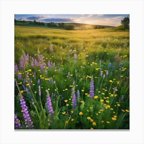 Wildflowers At Sunset, Landscape Of A Meadow With Wildflowers In Bloom art print 2 Canvas Print