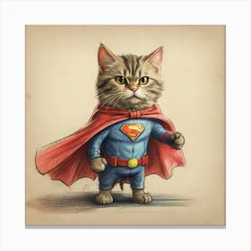 Superman Cat 7 Canvas Print