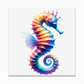 Seahorse Canvas Print