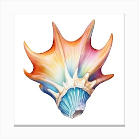 Conch Shell Canvas Print