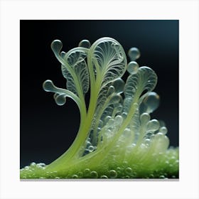 Translucent Filament Microtubule Predatory On Leaf Canvas Print