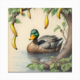 Duck With Bananas Canvas Print