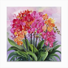 Orchids 7 Canvas Print