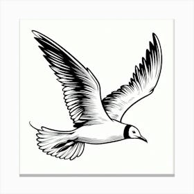 Line Art gull Canvas Print