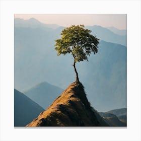 Lone Tree On Top Of Mountain 44 Canvas Print